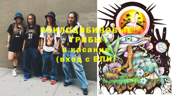 МДПВ Абинск