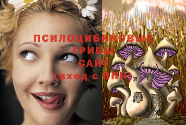 МДПВ Абинск