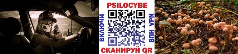 что такое наркотик  Знаменск  Галлюциногенные грибы прущие грибы 