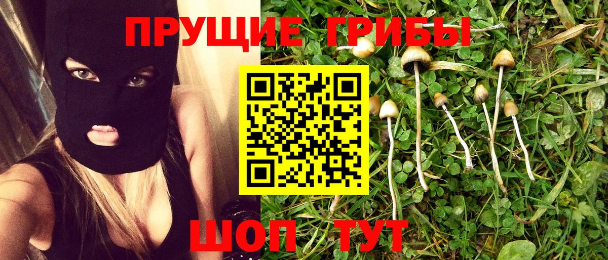 Знаменск  Псилоцибиновые грибы Magic Shrooms  Вход с VPN 