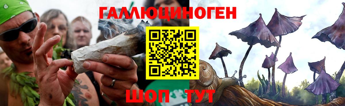 Галлюциногенные грибы Cubensis Знаменск